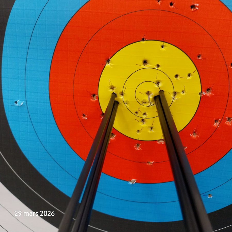 Championnat Régional des Ecoles de Tir à l'arc de Bretagne - Une belle 7° place