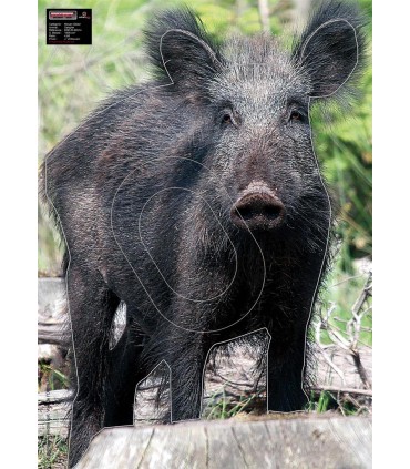 🌿 Tir Nature - Championnat de Bretagne - 10/05/2026